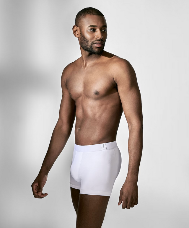 Bread & Boxers 2-Pack Boxer Brief Micro Modal