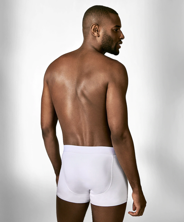 Bread & Boxers 2-Pack Boxer Brief Micro Modal