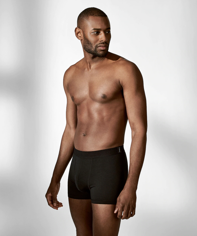 Bread & Boxers 2-Pack Boxer Brief Micro Modal