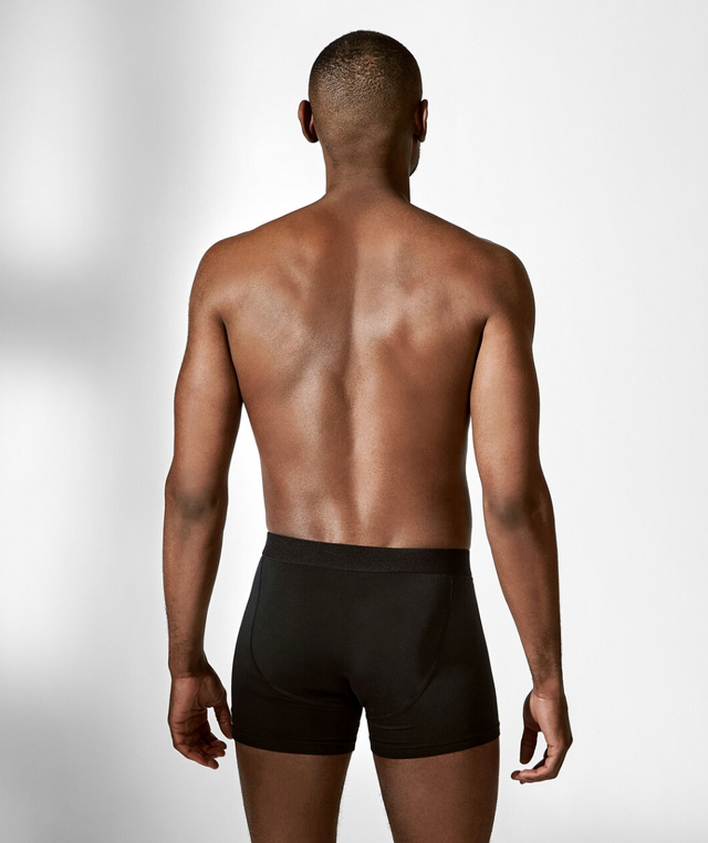 Bread & Boxers 2-Pack Boxer Brief Micro Modal