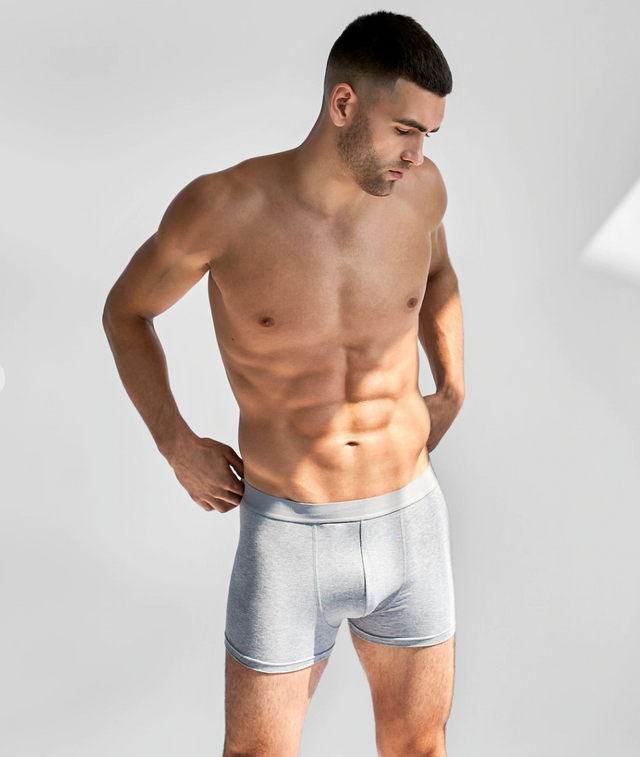 Bread & Boxers 3-Pack Boxer Brief