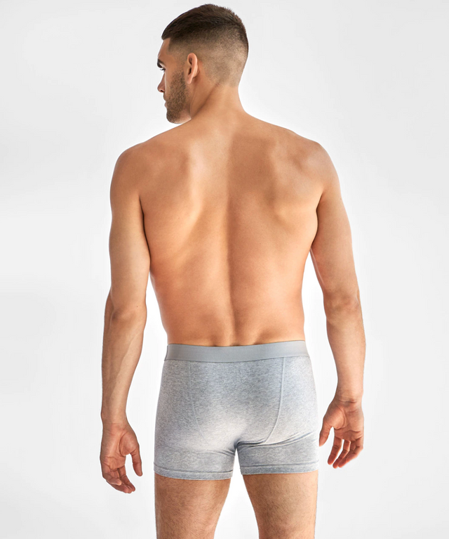 Bread & Boxers 3-Pack Boxer Brief